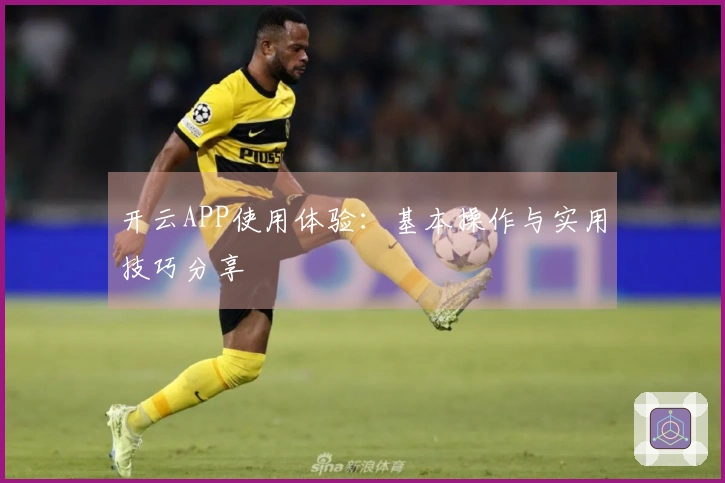 开云APP使用体验:基本操作与实用技巧分享