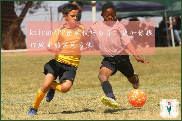 kaiyunAPP使用技巧分享：提升你操作效率的实用方法