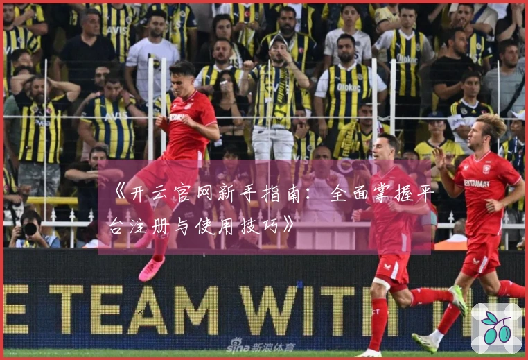 《开云官网新手指南：全面掌握平台注册与使用技巧》