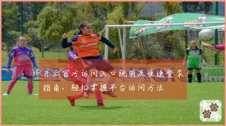 开云官方访问入口说明及快速登录指南，轻松掌握平台访问方法